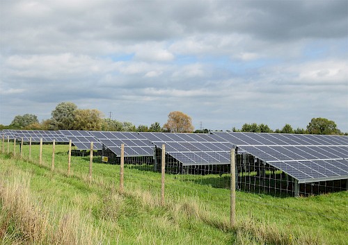 Puriton Solar