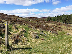 Cateran Trail