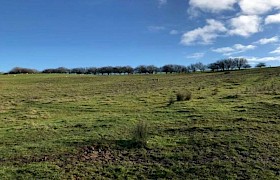North Cockley, Redhill - 110 Acres Green Opportunity - Image 1