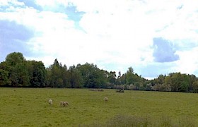 North Cockley, Redhill - 7.2 Acres - Image 1