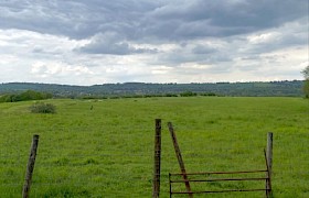 North Cockley